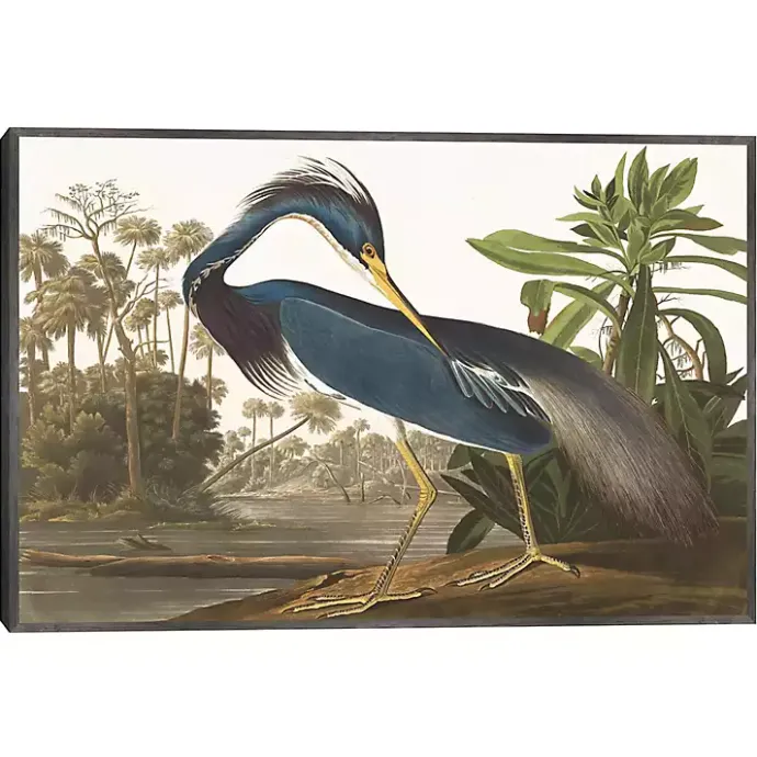 Outlet Kirklands Home Louisiana Heron Framed Canvas Art Print