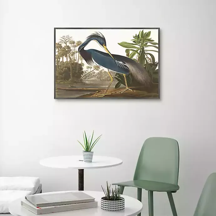 Outlet Kirklands Home Louisiana Heron Framed Canvas Art Print