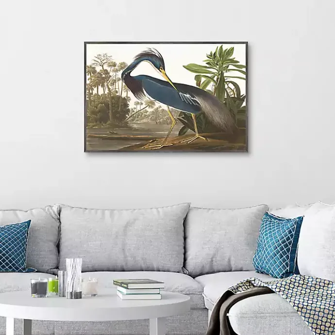 Outlet Kirklands Home Louisiana Heron Framed Canvas Art Print