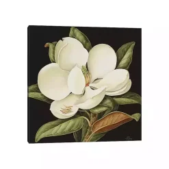 Kirklands Home Magnolia Grandiflora Canvas Art Print White