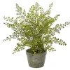 Clearance Kirklands Home Maiden Hair Fern in Ceramic Planter