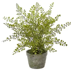 Clearance Kirklands Home Maiden Hair Fern in Ceramic Planter