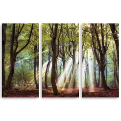 Outlet Kirklands Home Majestic Morning Canvas Art Prints, Set of 3 Green