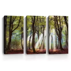 Outlet Kirklands Home Majestic Morning Canvas Art Prints, Set of 3 Green