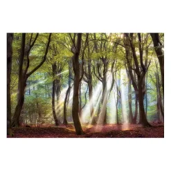 Best Kirklands Home Majestic Morning Giclee Canvas Art Print Multi