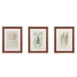 Sale Kirklands Home Martha Stewart Lady Fern Framed Art Print Set