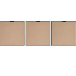 Sale Kirklands Home Martha Stewart Leaf Framed Prints, Set of 3