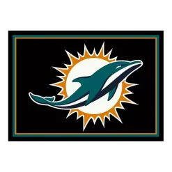 Best Kirklands Home Miami Dolphins Area Rug, 4x6