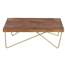 Kirklands Home Modern Mango Wood Brass Coffee Table Brown