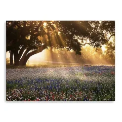 Kirklands Home Morning Meadow Giclee Canvas Art Print, 40x30 in. Yellow