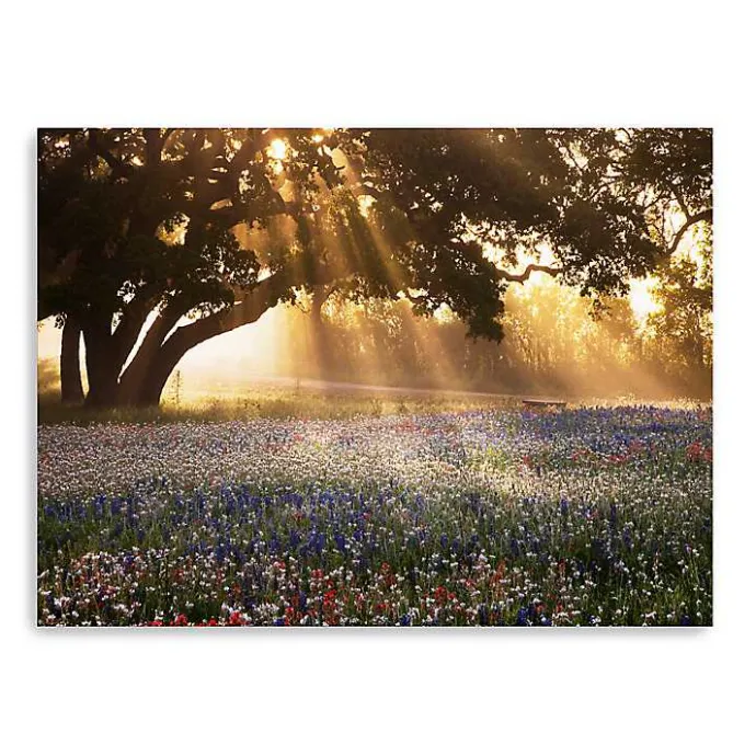 Kirklands Home Morning Meadow Giclee Canvas Art Print, 40x30 in. Yellow