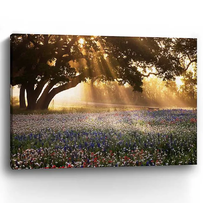 Kirklands Home Morning Meadow Giclee Canvas Art Print, 40x30 in. Yellow