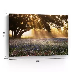 Kirklands Home Morning Meadow Giclee Canvas Art Print, 40x30 in. Yellow