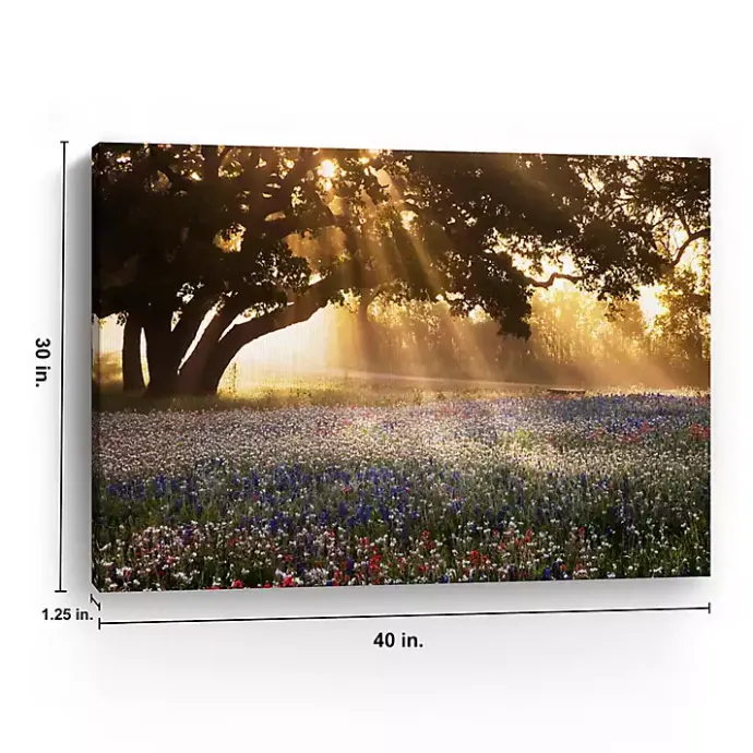 Kirklands Home Morning Meadow Giclee Canvas Art Print, 40x30 in. Yellow