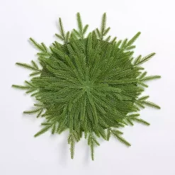 Best Kirklands Home Natural Norfolk Pine Placemat Green