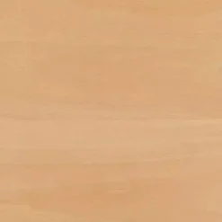 Hot Kirklands Home Natural Rounded Modern Dining Chairs, Set of 2 Tan