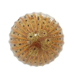 Clearance Kirklands Home Natural Shades Ceramic 4-pc. Orb Filler Set