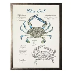 Best Kirklands Home Nature Study of a Blue Crab Framed Art Print Tan