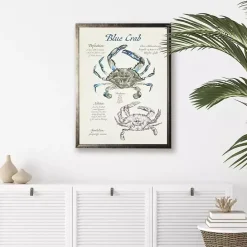 Best Kirklands Home Nature Study of a Blue Crab Framed Art Print Tan