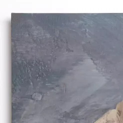 Best Kirklands Home Neutral Seashell Canvas Art Print