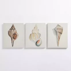 New Kirklands Home Neutral Seashells Canvas Art Prints, Set of 3