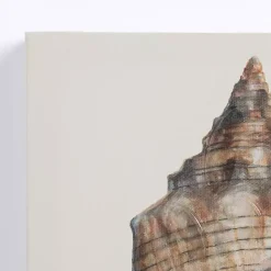 New Kirklands Home Neutral Seashells Canvas Art Prints, Set of 3