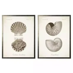 Clearance Kirklands Home Neutral Seashells Framed Art Prints, Set of 2