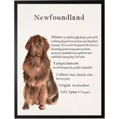 Best Kirklands Home Newfoundland Facts Framed Wall Plaque