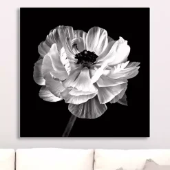 New Kirklands Home Noir Ranunculus Floral Giclee Canvas Art Print