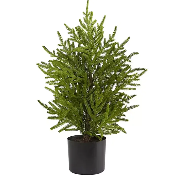 Hot Kirklands Home Norfolk Island Pine Mini Tree in Black Planter