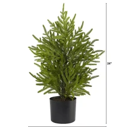 Hot Kirklands Home Norfolk Island Pine Mini Tree in Black Planter