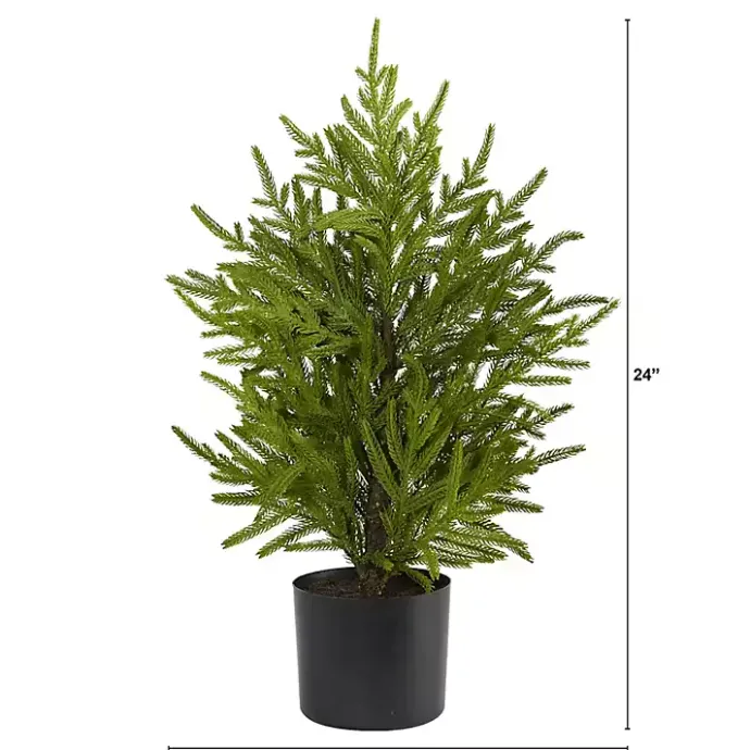 Hot Kirklands Home Norfolk Island Pine Mini Tree in Black Planter