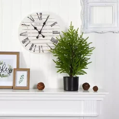 Hot Kirklands Home Norfolk Island Pine Mini Tree in Black Planter