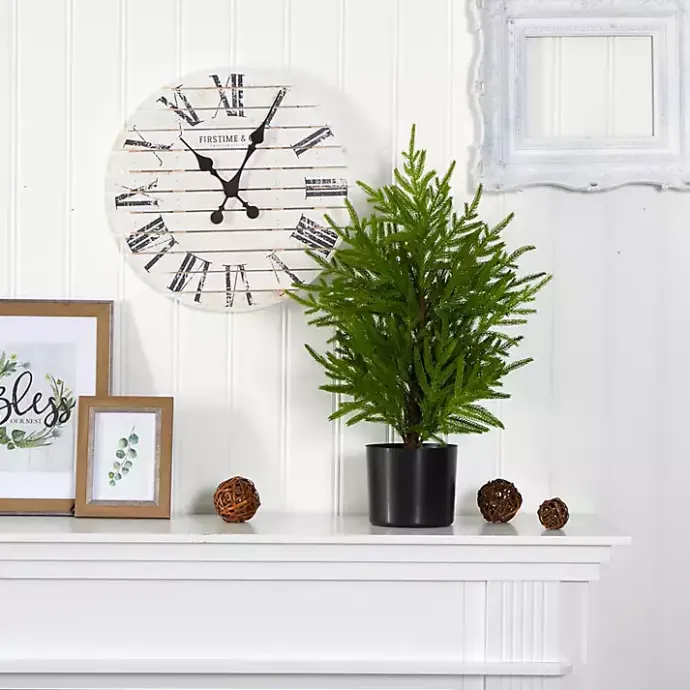 Hot Kirklands Home Norfolk Island Pine Mini Tree in Black Planter