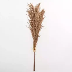 Online Kirklands Home Nutmeg Pampas Grass Bundle Brown