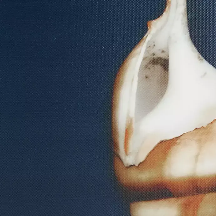 Best Kirklands Home Ocean Shell Framed Canvas Art Prints, Set of 4