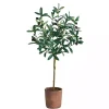 Sale Kirklands Home Olive Branch Tree in Weathered Planter, 3 ft.