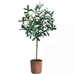 Sale Kirklands Home Olive Branch Tree in Weathered Planter, 3 ft.
