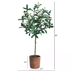Sale Kirklands Home Olive Branch Tree in Weathered Planter, 3 ft.
