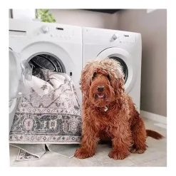 Outlet Kirklands Home Orange Distressed Medallion Washable Area Rug, 3x5