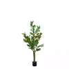 Sale Kirklands Home Orange Fruit Tree in Black Pot, 4 ft.