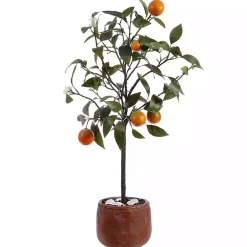 Best Kirklands Home Orange Tree in White Pot