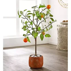 Best Kirklands Home Orange Tree in White Pot