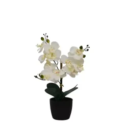 Online Kirklands Home Orchid Arrangement in Black Decorative Pot