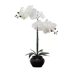 Best Kirklands Home Orchid Arrangement in Floral Planter Black