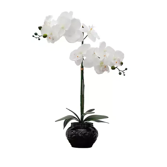 Best Kirklands Home Orchid Arrangement in Floral Planter Black