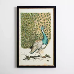 Sale Kirklands Home Peacock Framed Wall Art