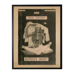 Sale Kirklands Home Pepper's Ghost Framed Halloween Wall Plaque