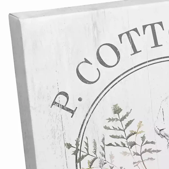 Best Kirklands Home Peter Cottontail Carrot Company Canvas Art Print