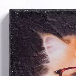 Discount Kirklands Home Pippa the Cat Canvas Art Print